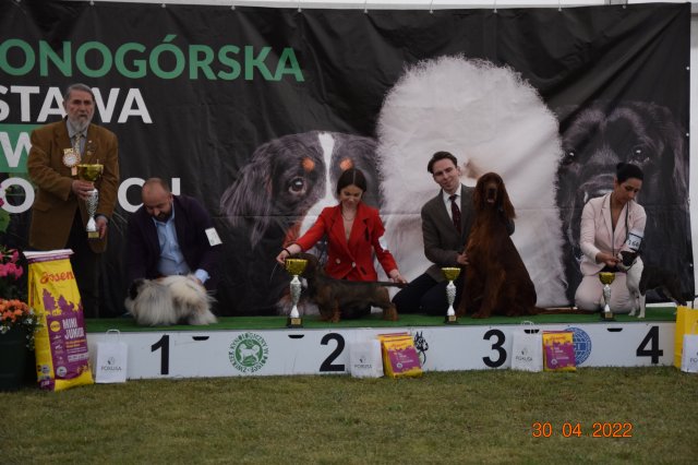 pieski2 122